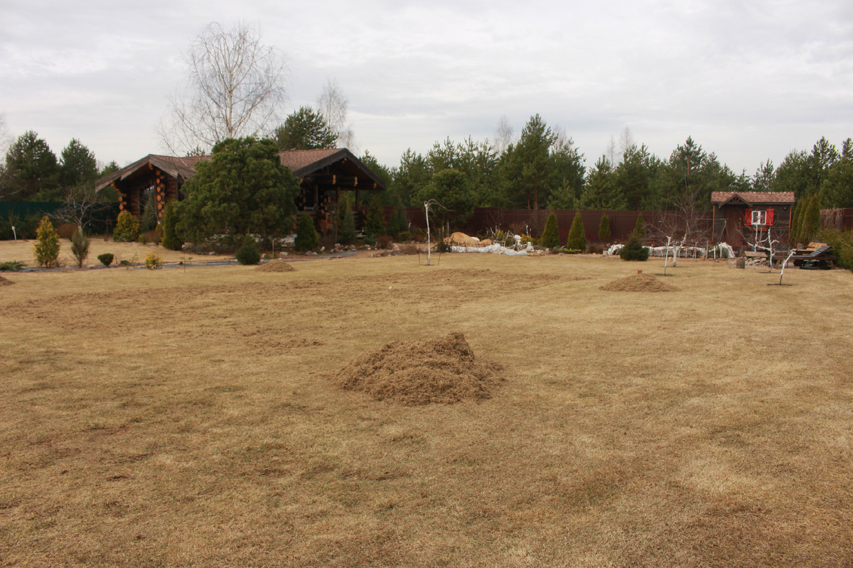 15 апреля - обязательная весенняя скаррификация газона