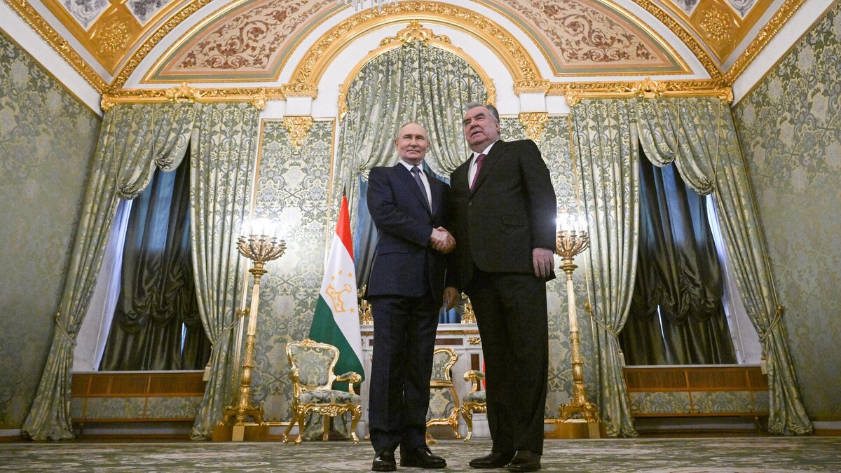    ЕС возмущён Таджикистаном, который не арестовал Путина