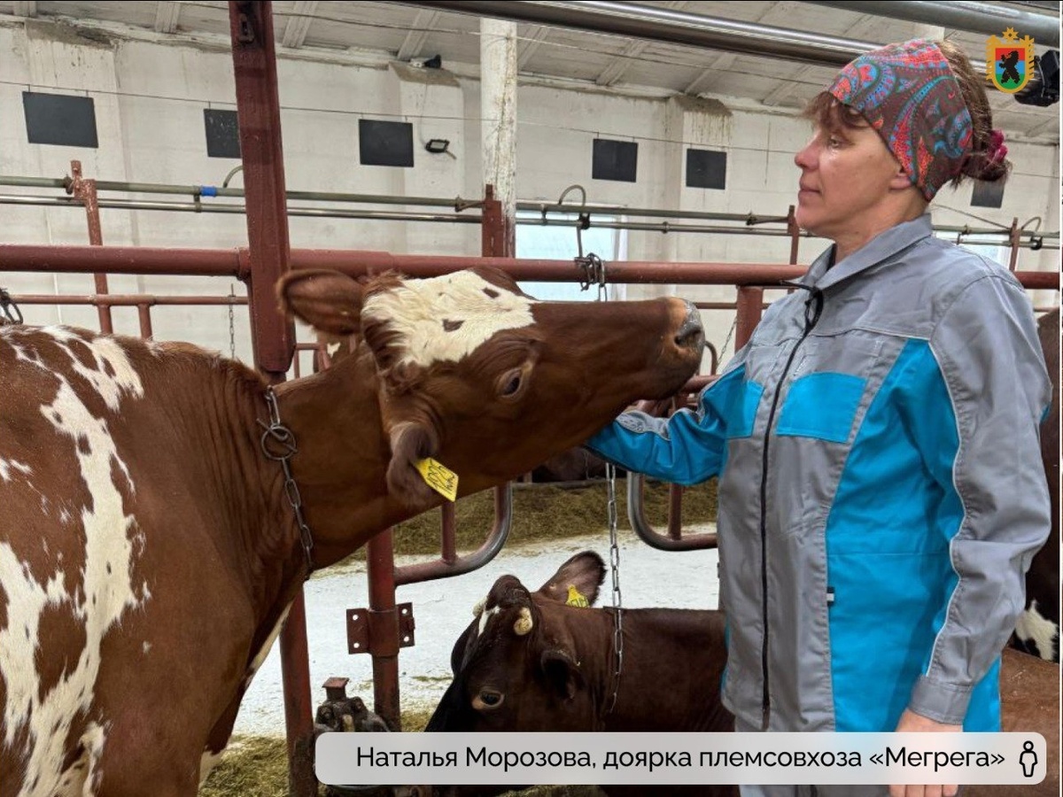 Листайте вправо, чтобы увидеть больше изображений