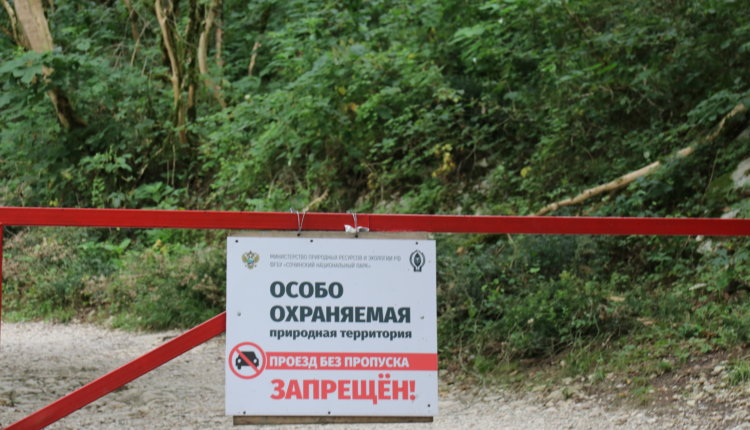 Источник новости: https://nia.eco/2025/10/10/108833/