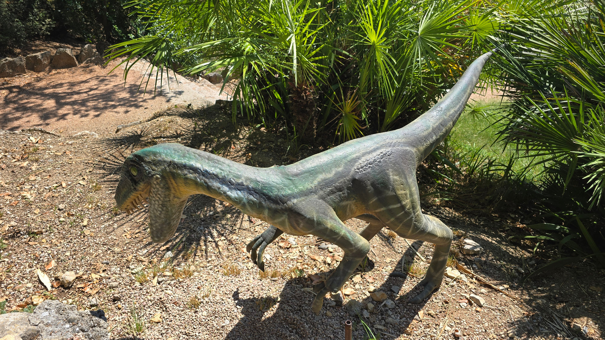 Велоцираптор