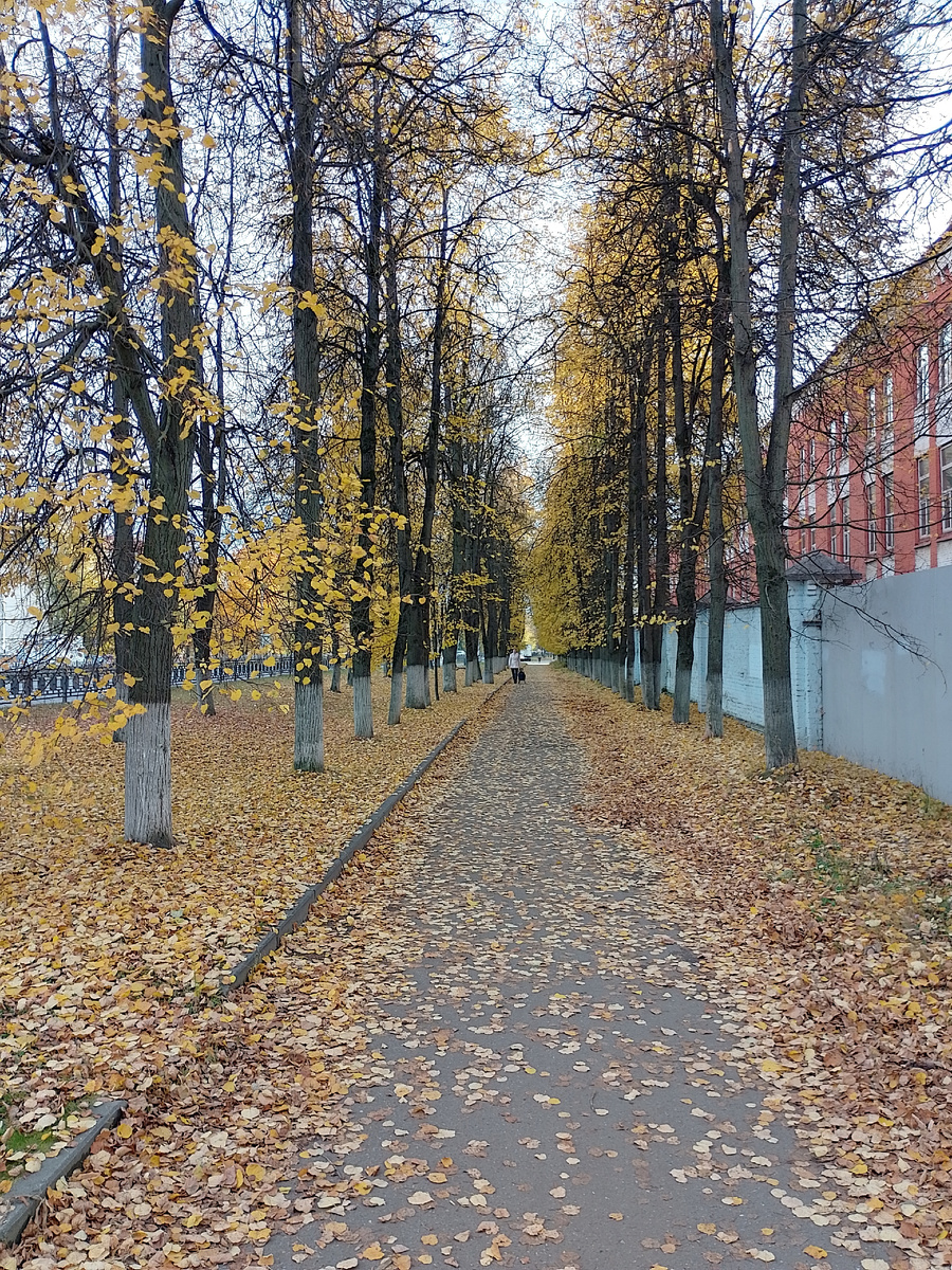 Фото автора.