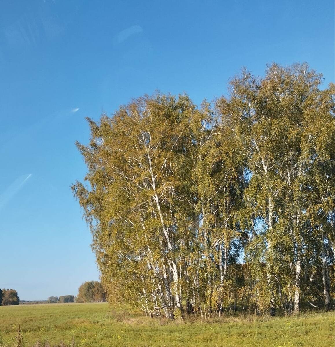 Вспоминая осень