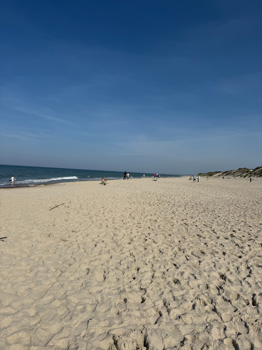 Даже осенью приятно приехать погулять и подышать воздухом