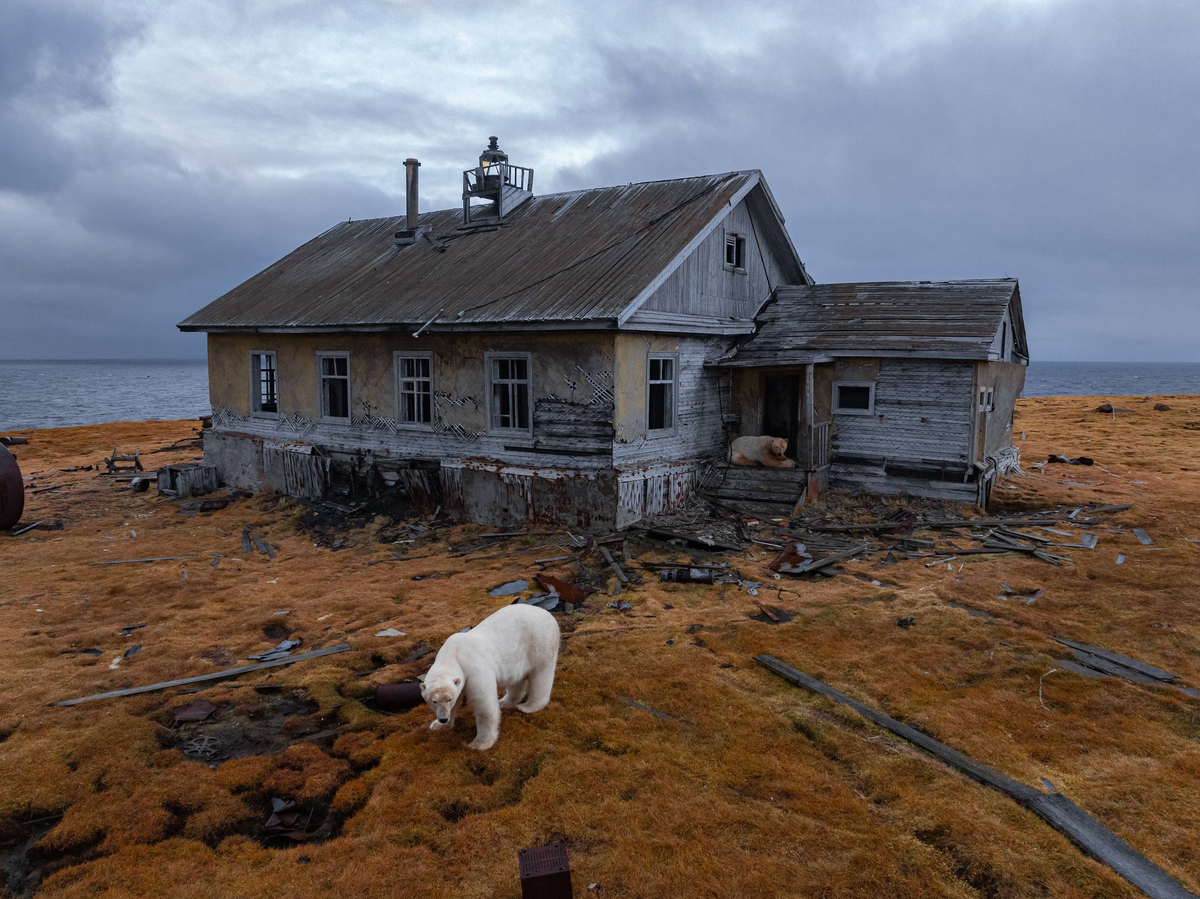 Заброшенная полярная станция на острове Колючин. Фото В.Махорина из свободного доступа