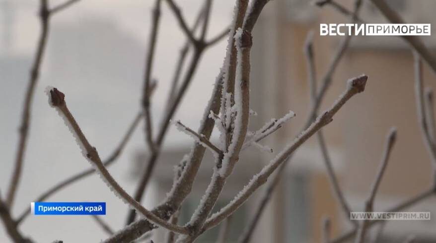    Источник фото: