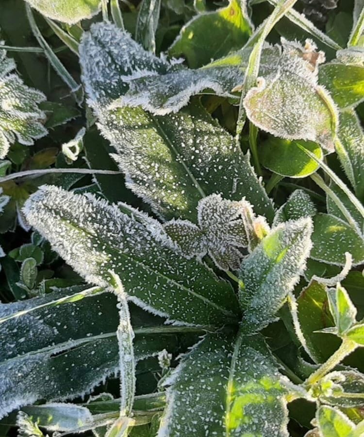     Красноярцам обещают прохладную и пасмурную погоду на рабочей неделе