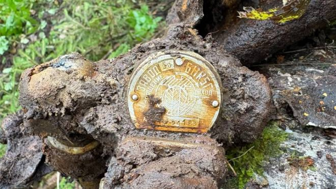 Фото: ТГ-канал "Тихвинская сорока"