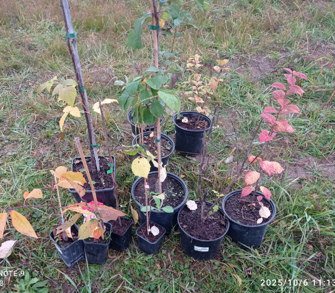 перед посадкой