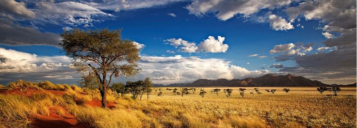 Фото с https://br.pinterest.com/pin/explore-as-ltimas-novidades--437412182539891591/