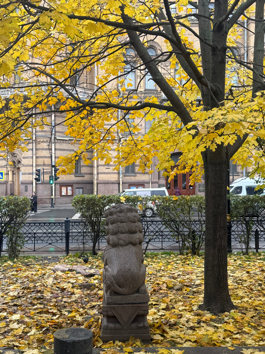 Лев грустил, как и я)