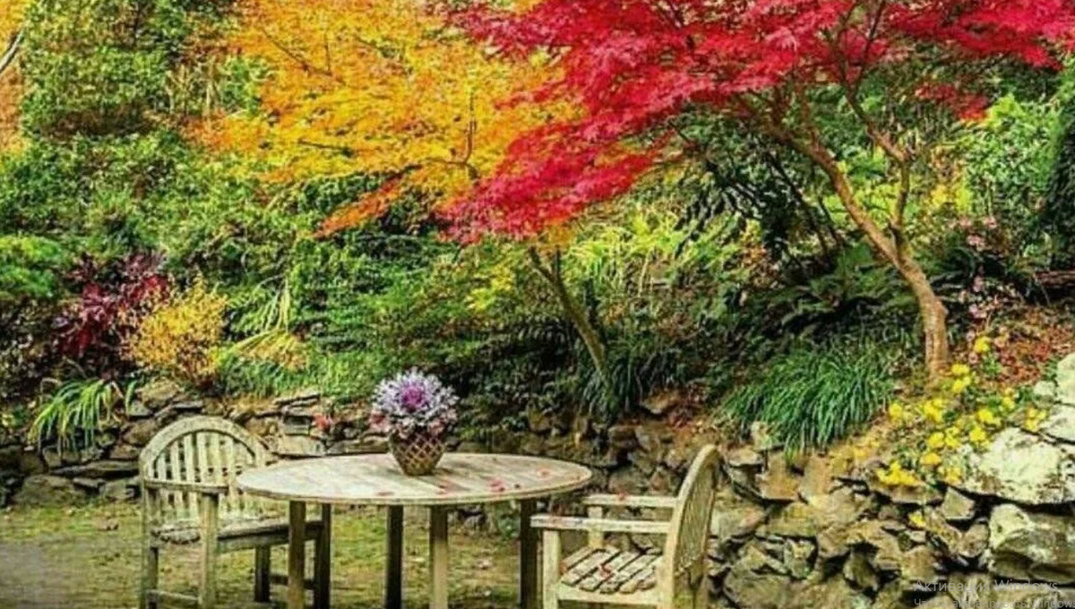 Осенний «макияж» сада