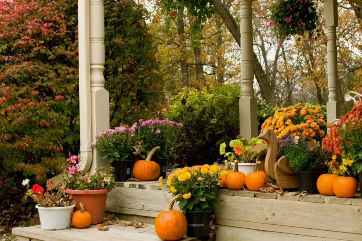 Используйте урожай как декор