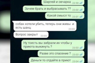    Фото: скрин ТГ-канала "Mash Siberia"