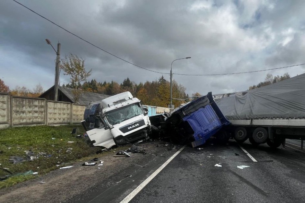    Фото © Telegram / Подмосковная полиция