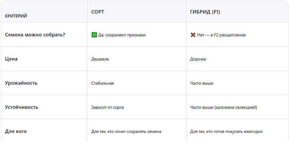 Сорт или гибрид (F1)? Разница, которая решает всё