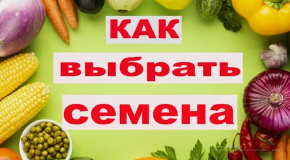 Как выбрать семена на 2026 год