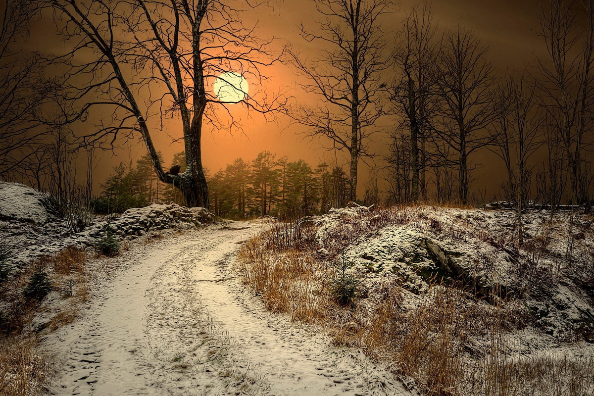 Фото из интернета.