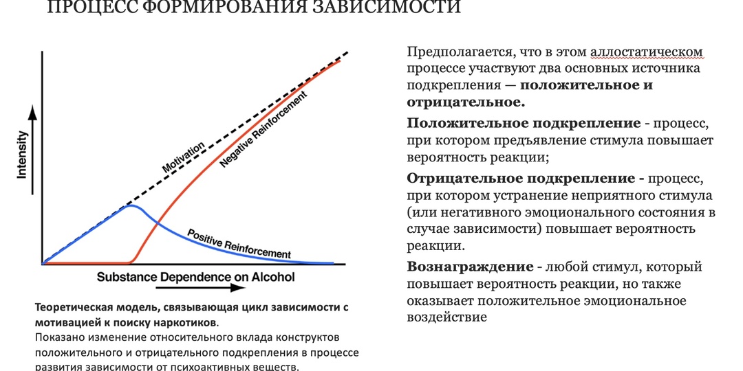 Алкоголизм: почему «просто пить меньше» не получается, или Как мозг заключает сделку с зеленым змием