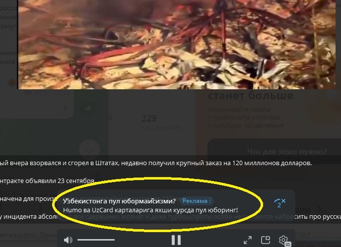 Скриншот Телеграм