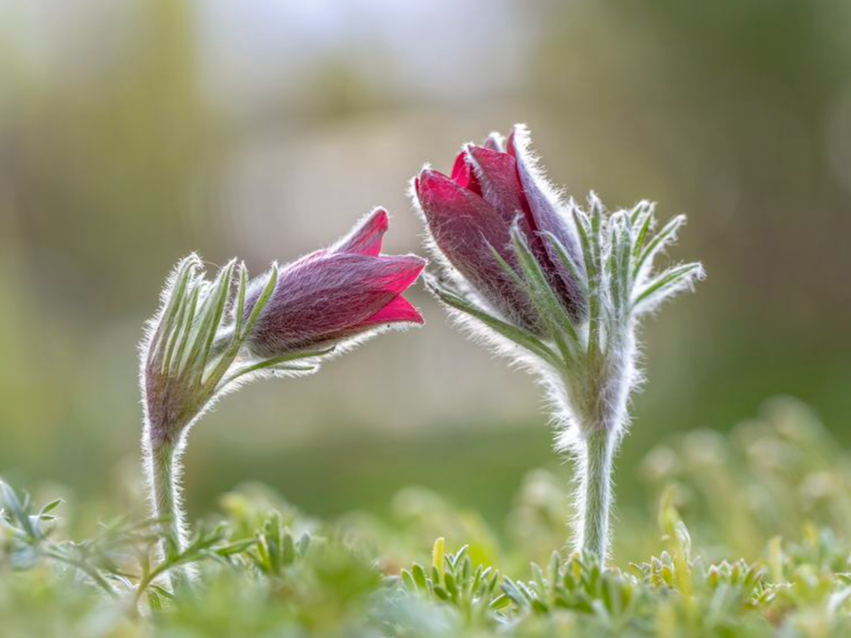 Фотограф Татьяна Феденкова. Изображение из открытых источников