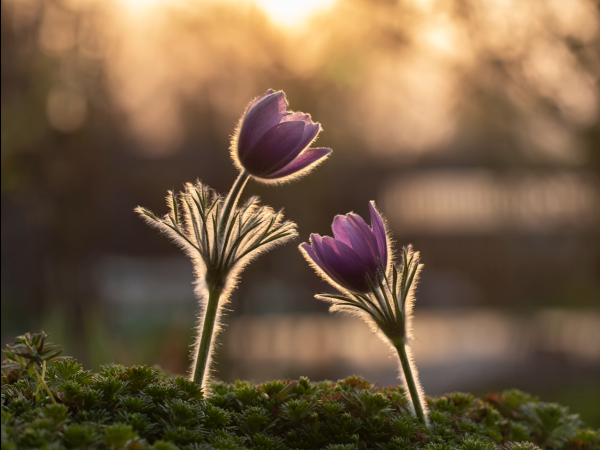 Фотограф Татьяна Феденкова. Изображение из открытых источников