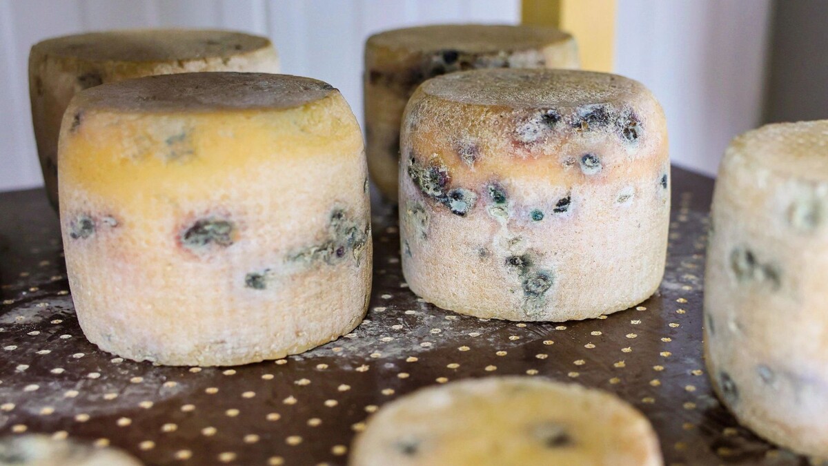    Фото: Андрей Ткачев/«Ямал-Медиа»