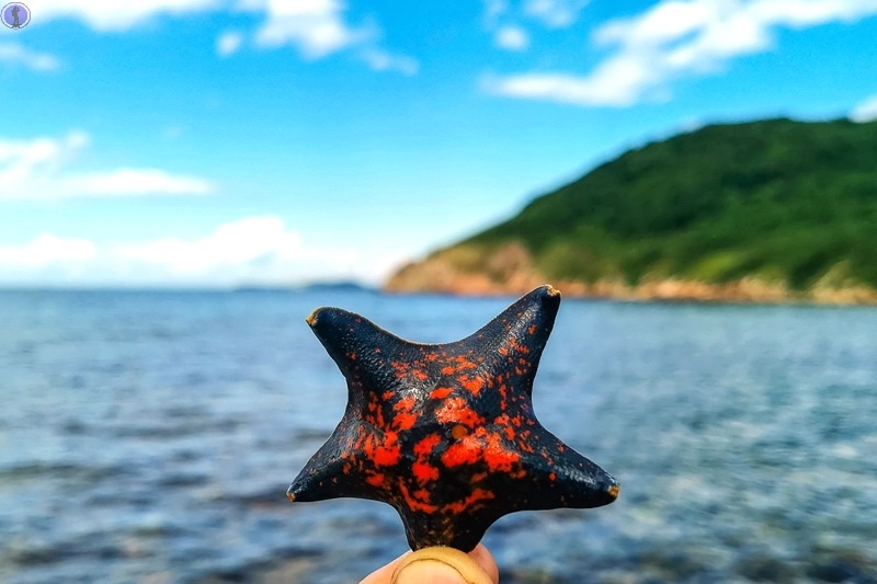 Необитаемый остров Шкота в Японском море. На него можно перейти пешком