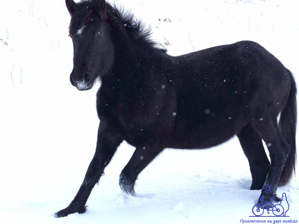 {"@context":"https://schema.org","@type":"ImageObject","url":"https://trofimoff.su/wp-content/uploads/2025/10/photo_2025-10-13_00-11-19-1024x768.jpg","width":"1024","height":"768"}  📷
