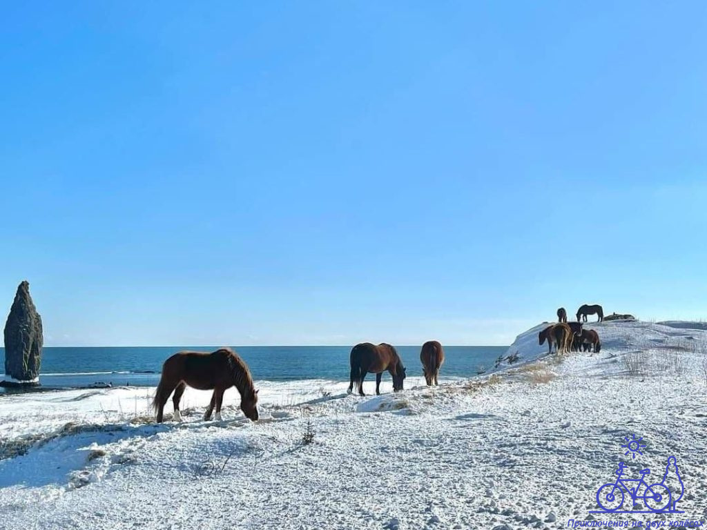 {"@context":"https://schema.org","@type":"ImageObject","url":"https://trofimoff.su/wp-content/uploads/2025/10/photo_2025-10-13_00-11-05-1024x768.jpg","width":"1024","height":"768"}  📷
