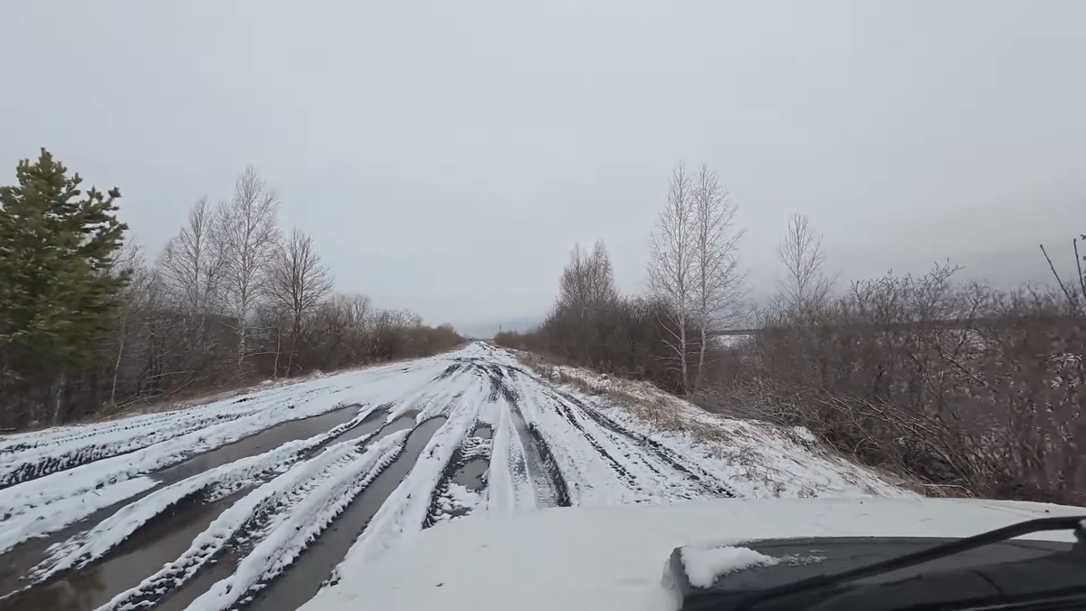 Утренняя неожиданность