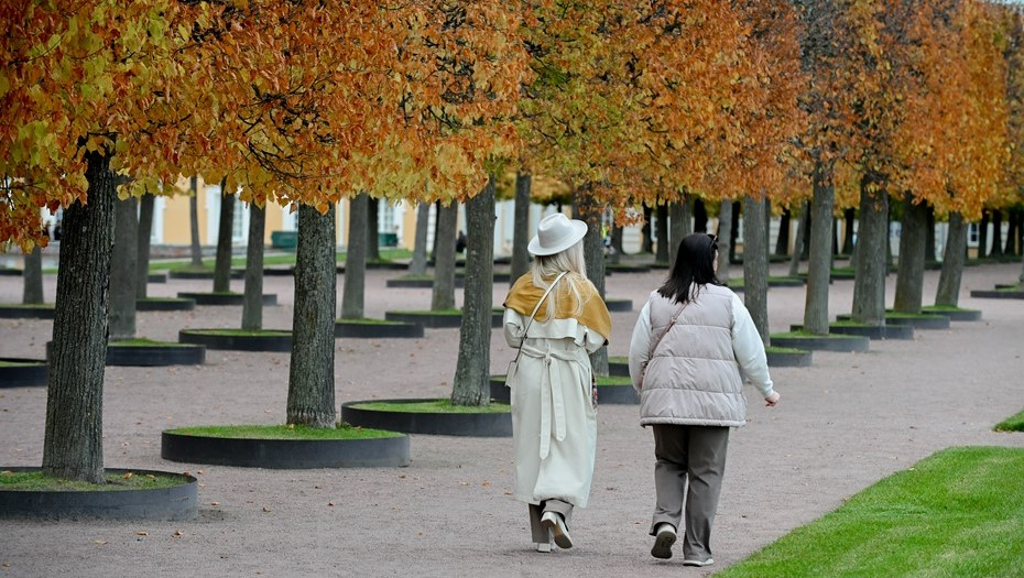 Автор фото: Ермохин Сергей/ДП