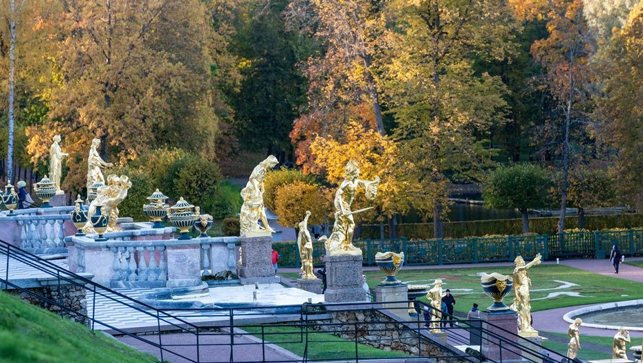 Автор фото: Тихонов Михаил/ДП 