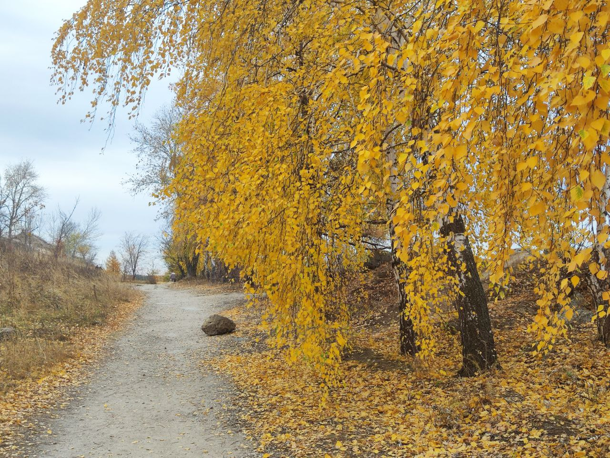 Фото автора.