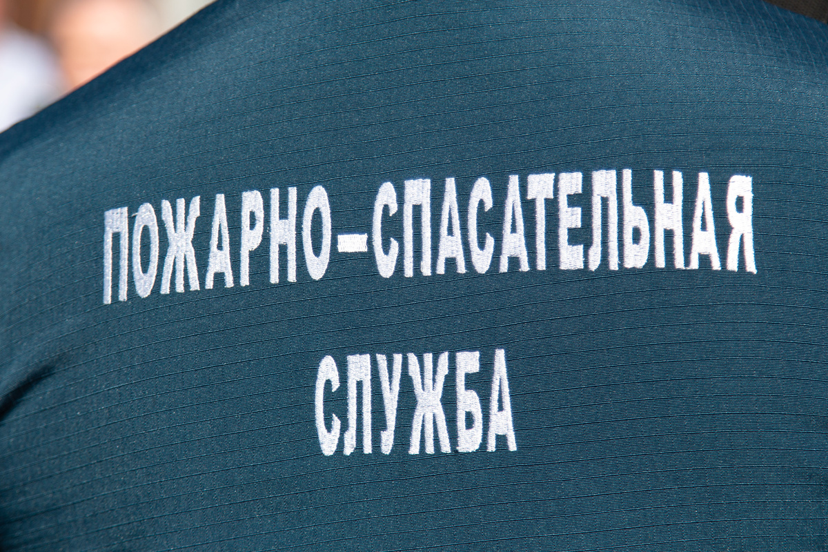 Фото: Общественная служба новостей