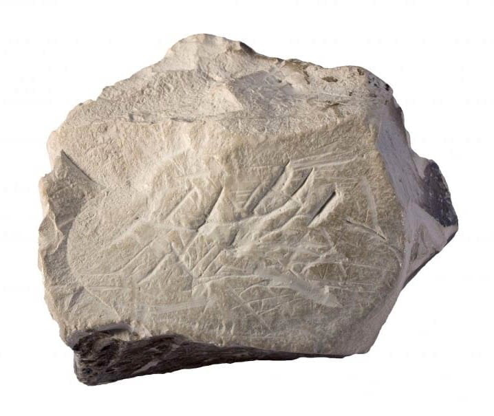 Фрагмент каолиновой глины, используемой для производства фарфора, база данных MEC