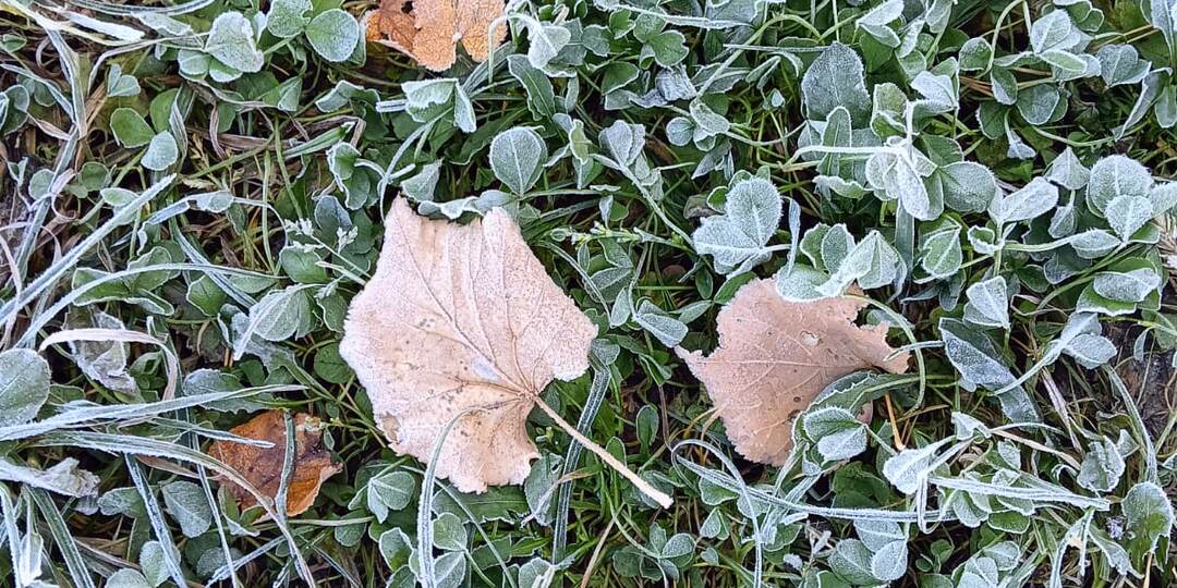 Неужели, должен был случиться развод, чтобы мать и дочь научились разговаривать друг с другом? Последний вагон-38