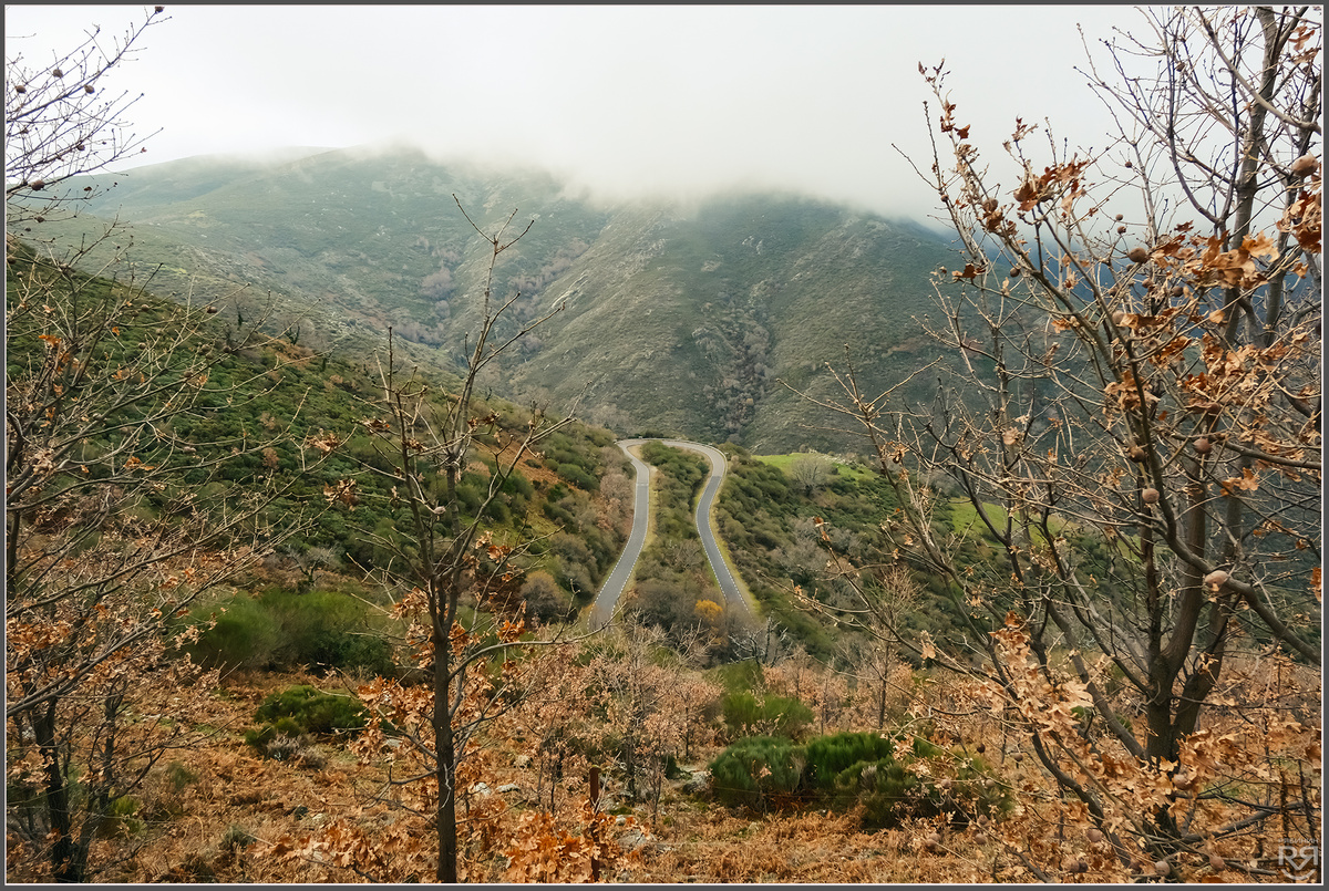 Puerto de Honduras. Фото: Михаил Рябинин