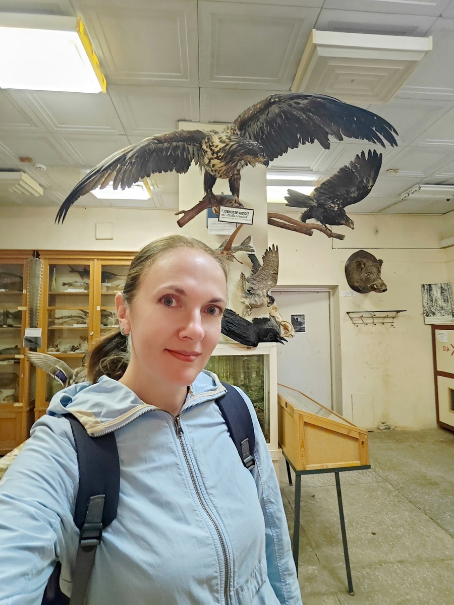 В музее природы 