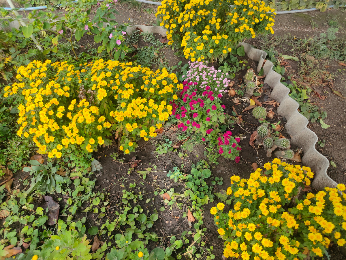 У родителей 