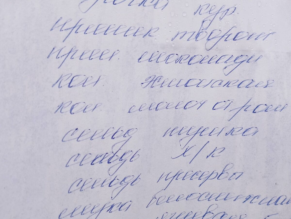 Велик, могуч и временами не совсем понятен русский язык! Но почерк почти идеальный. И почти не читаемый. Считайте это метафорой школьного образования. (Прейскурант цен на автолавке в деревне).