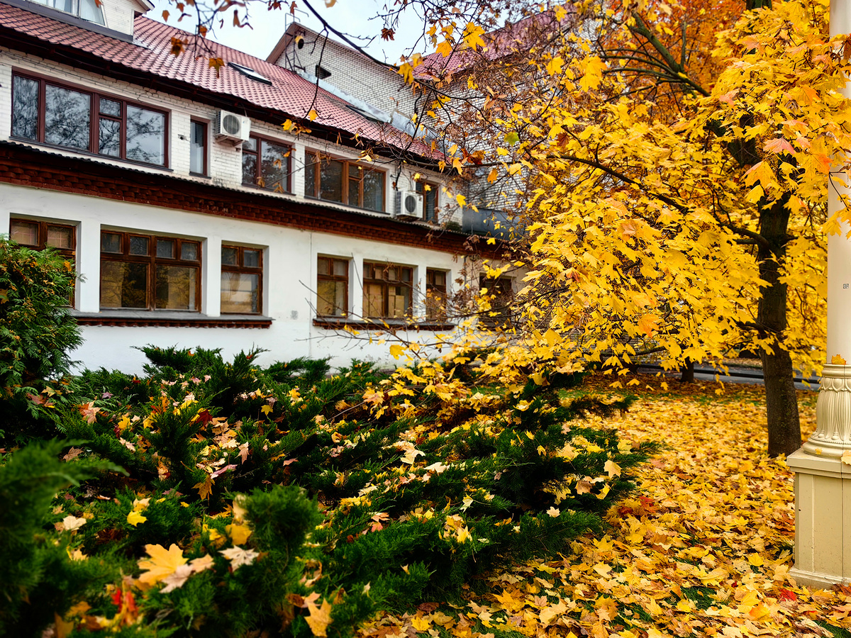 Усыпанные золотой листвой улочки выставки были особенно красивы