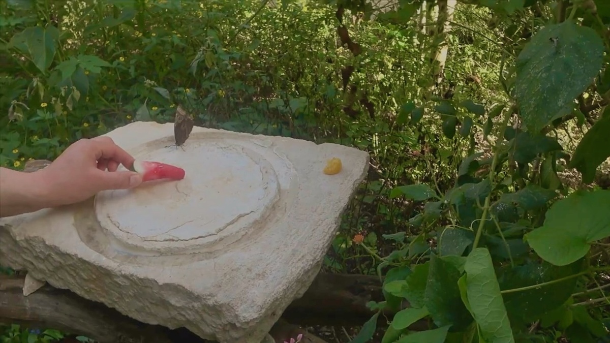 Парк Шкарет — один из самых известных экопарков Мексики