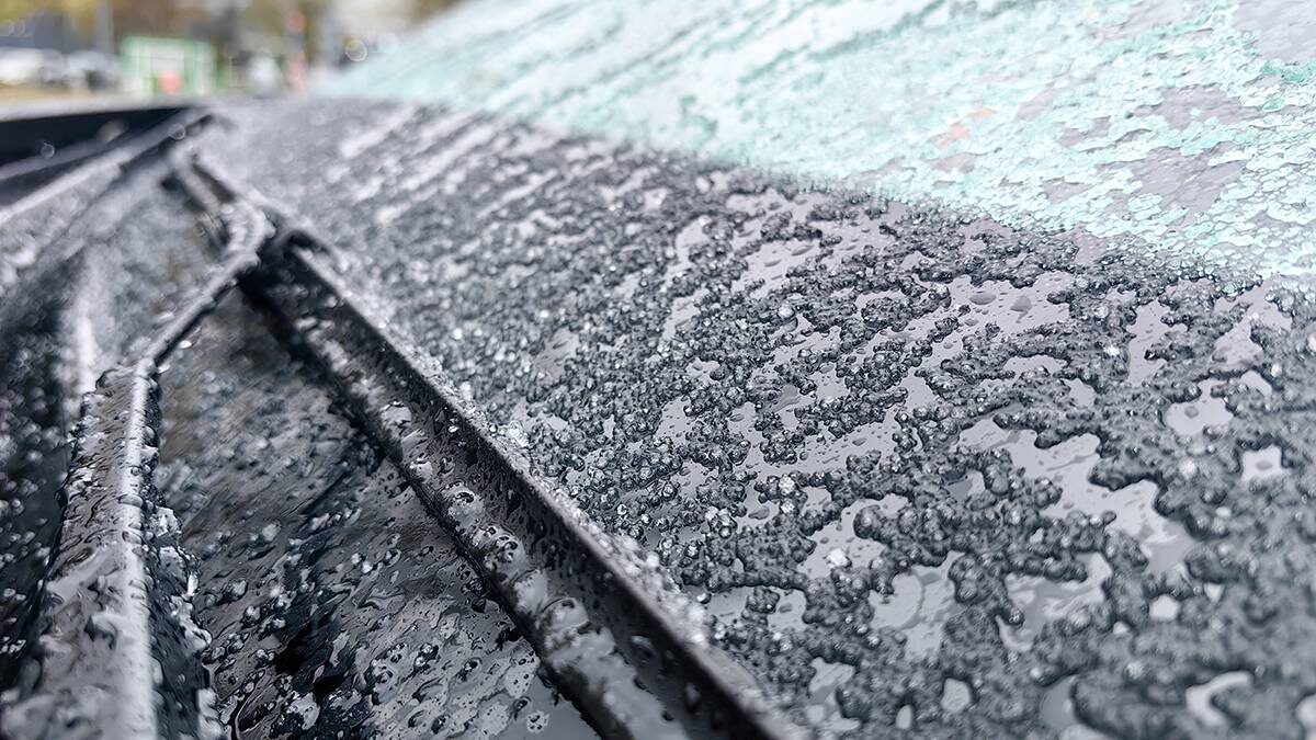    Фото: Василий Кузьмиченок / АГН Москва