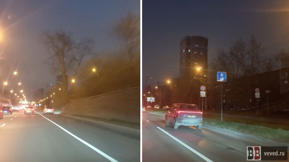     Фото: Владимир Задумин