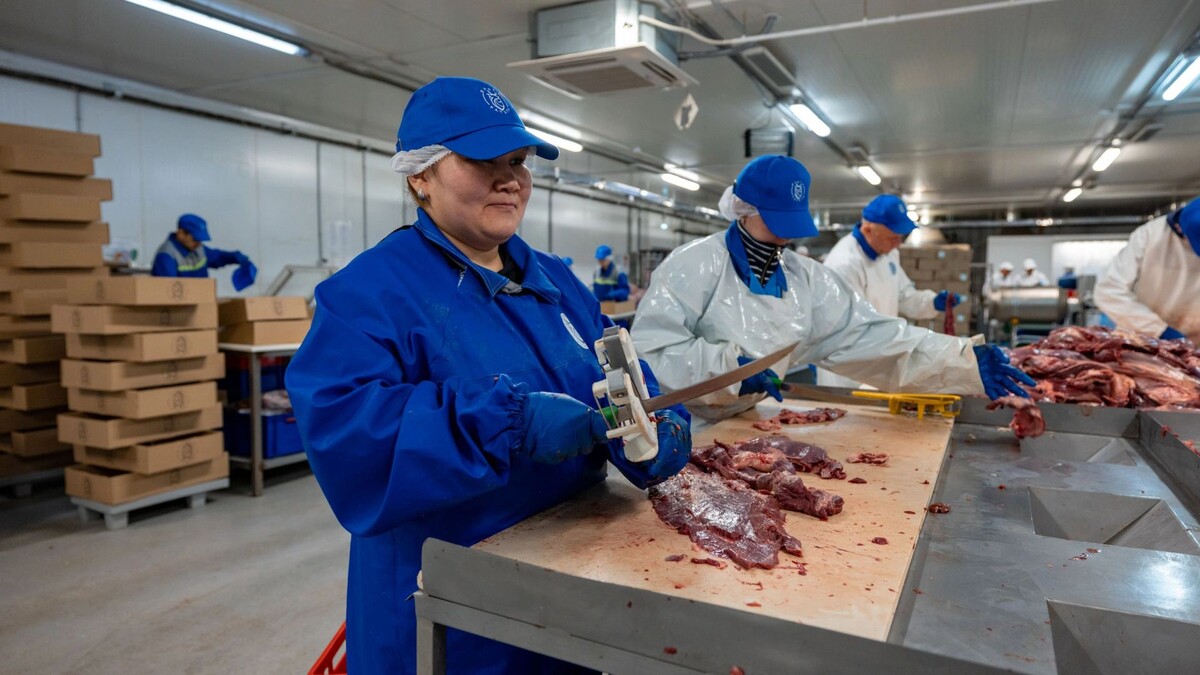    Фото: Сергей Зубков/«Ямал-Медиа»