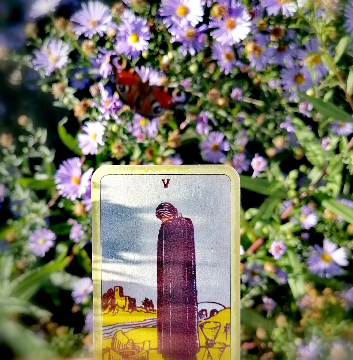 Делюсь летним настроением, остались впрок сделанные летние фото