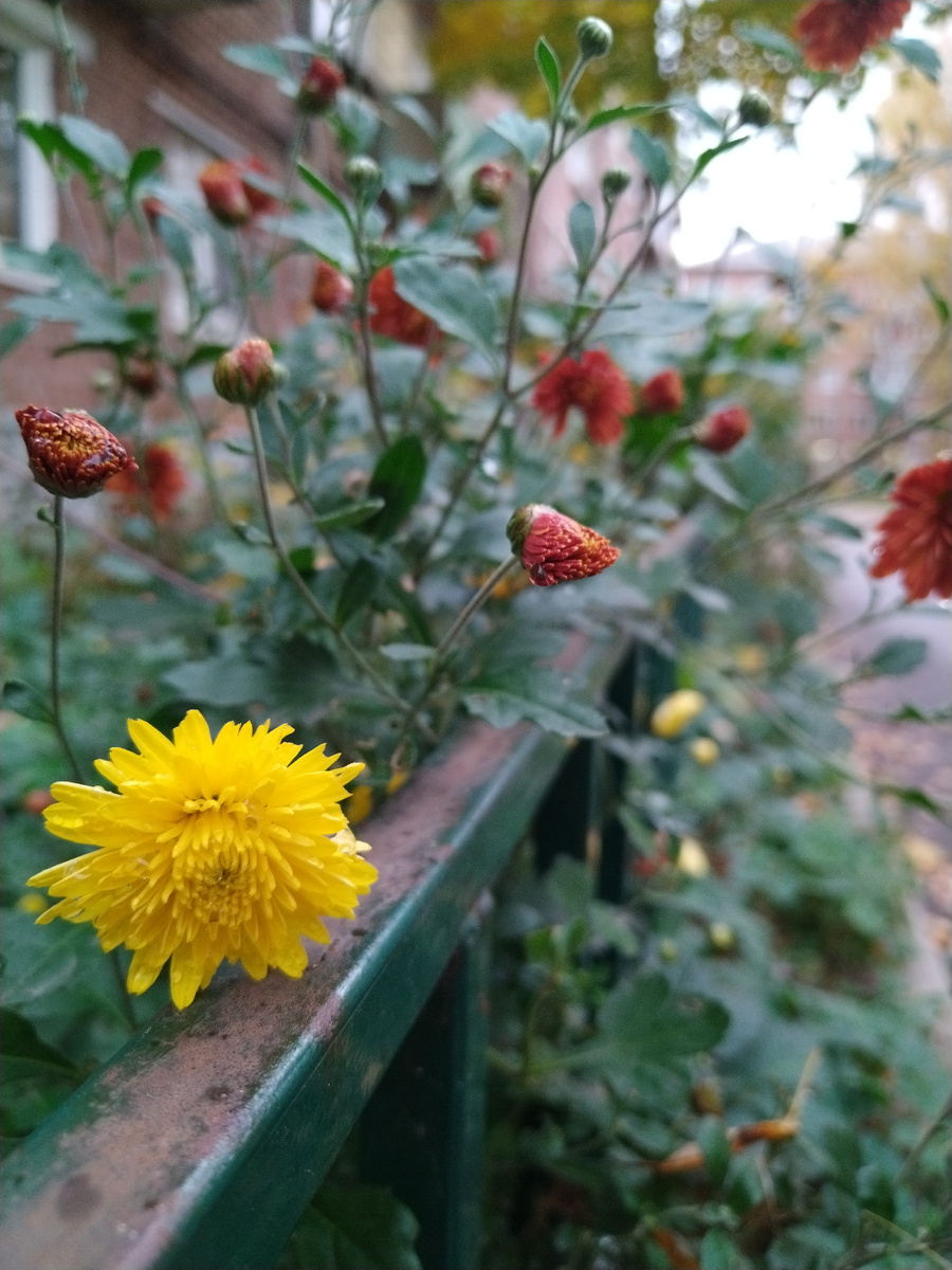 Я даже не знаю, что это 