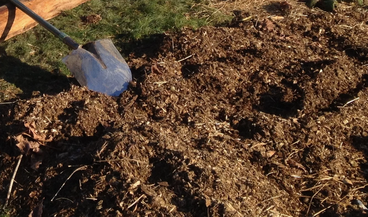 Метод 2. «Живая мульча»