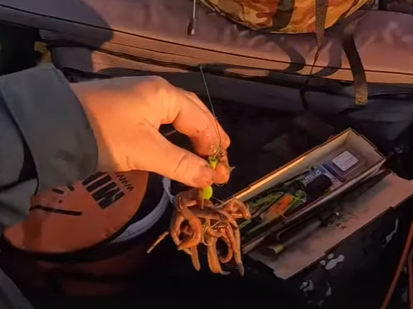 Фото: Роман Болдов / ВКонтакте